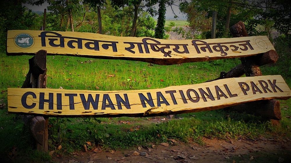 Jungle Safari in Chitwan 8